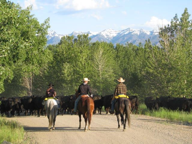 Petrich Ranch Photo