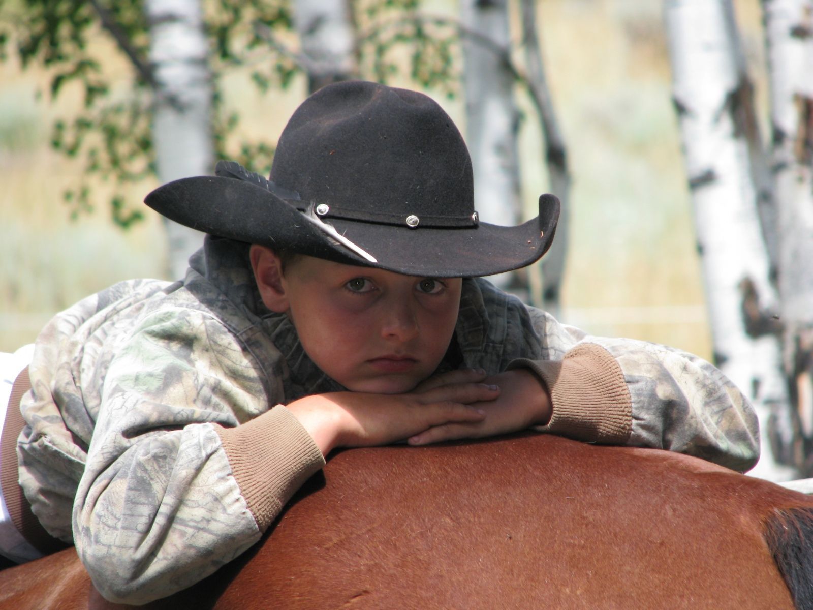Petrich Ranch Photo