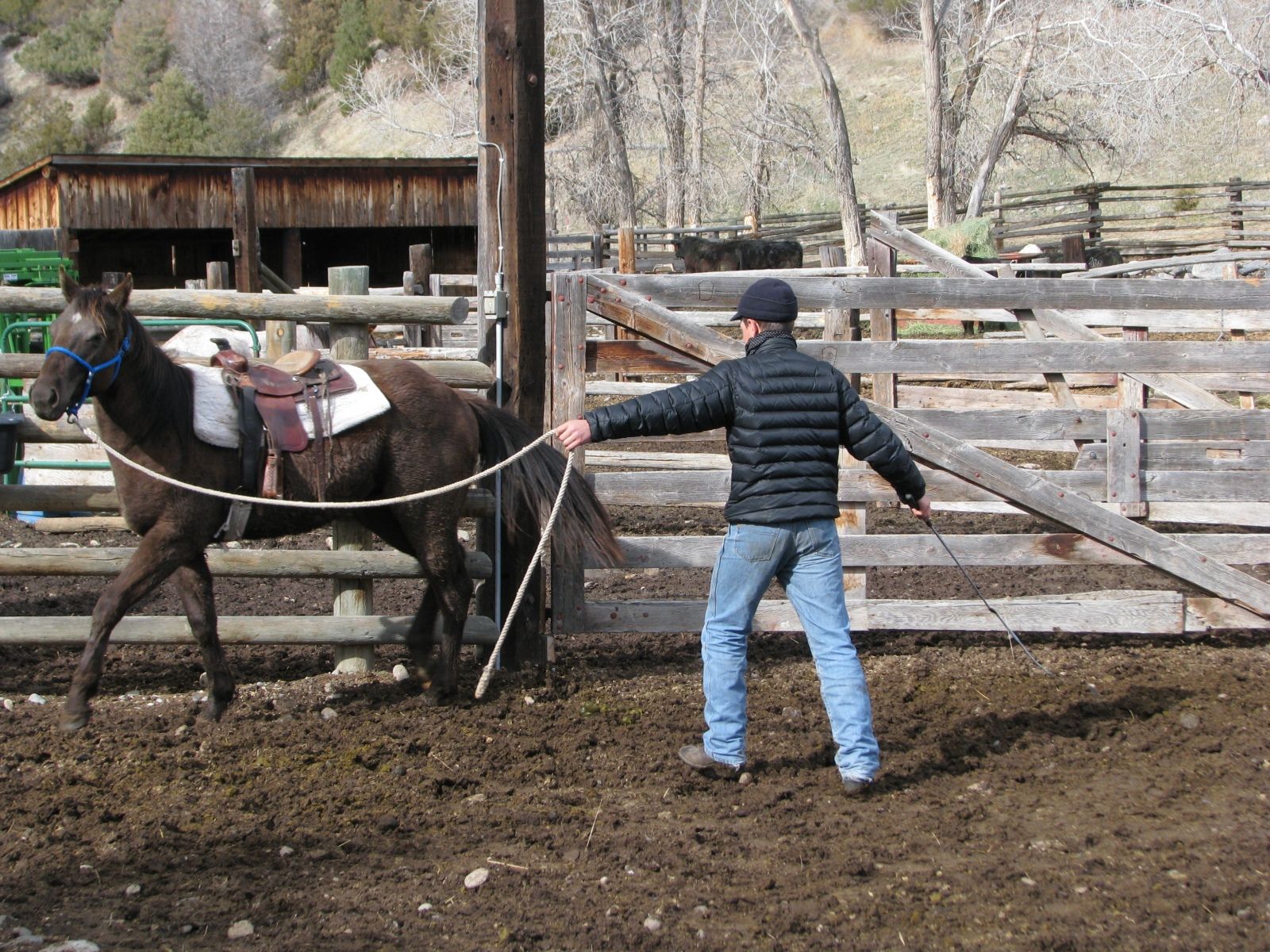 Petrich Ranch Photo