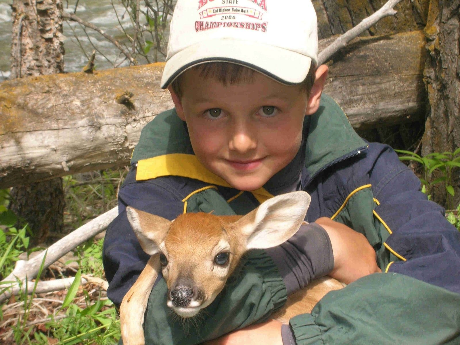 Zander and Bambi