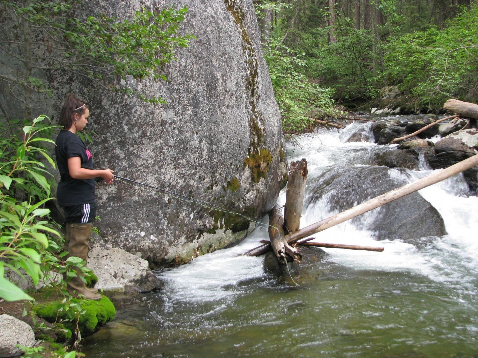 ...amazingly wild trout stream...