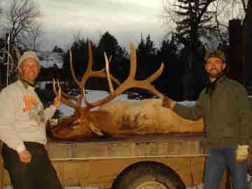 The mighty hunters