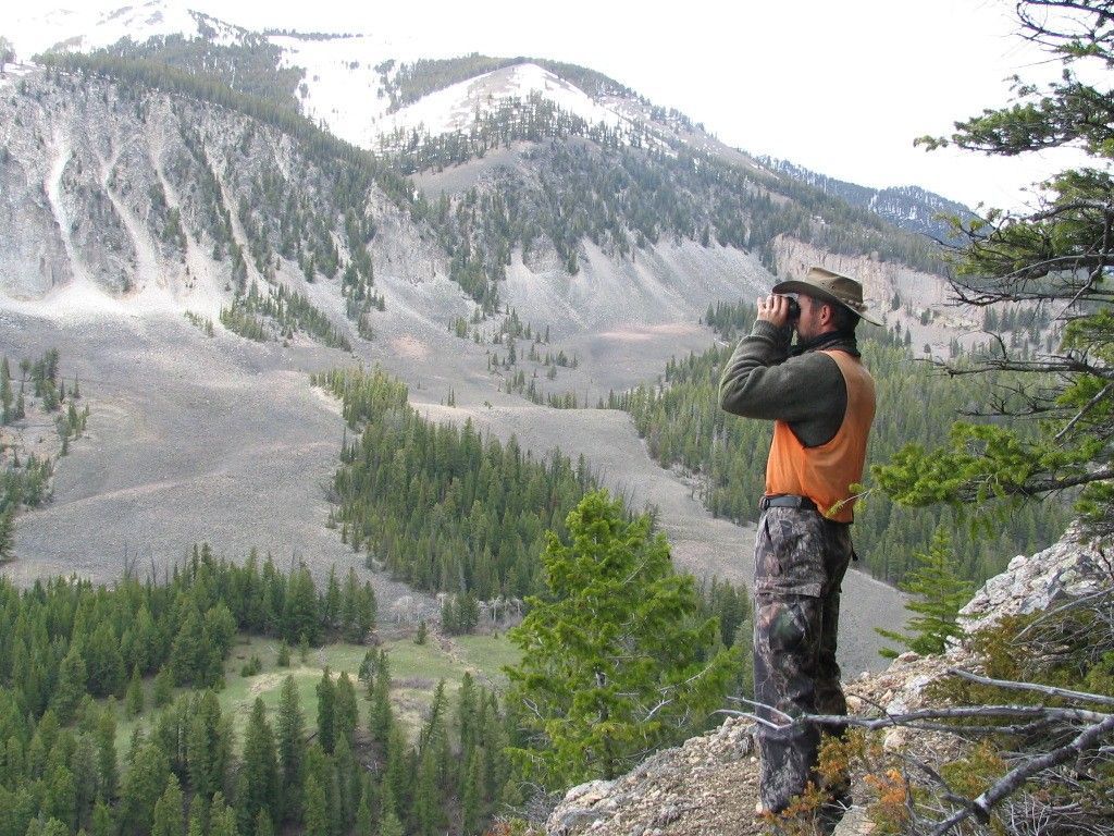 Spring Black Bear Hunts Gallery Image