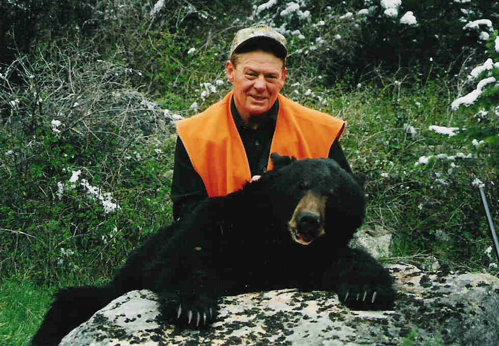 2004