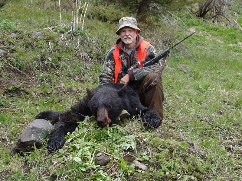 6 Yr. Old Black Boar