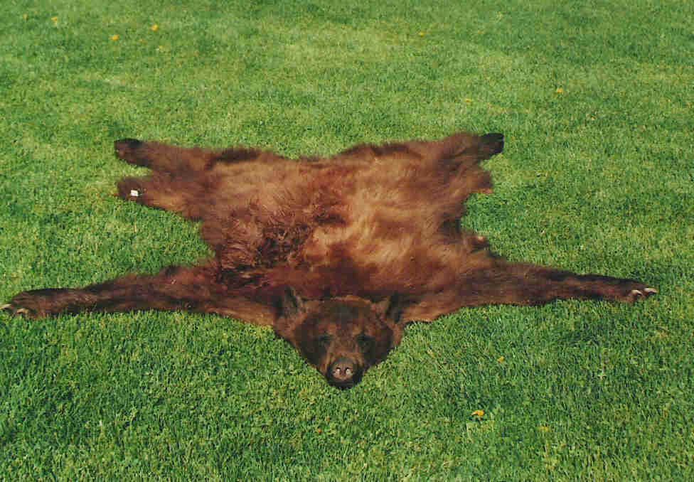 2001