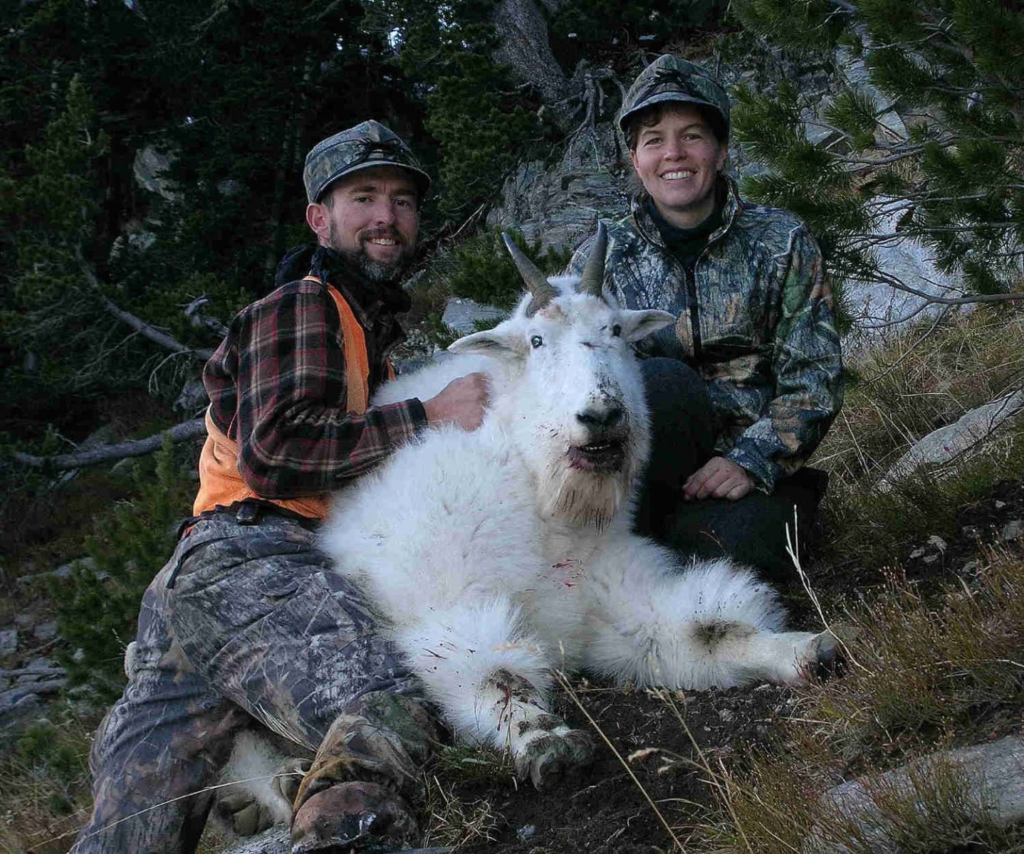 Randy's Goat
