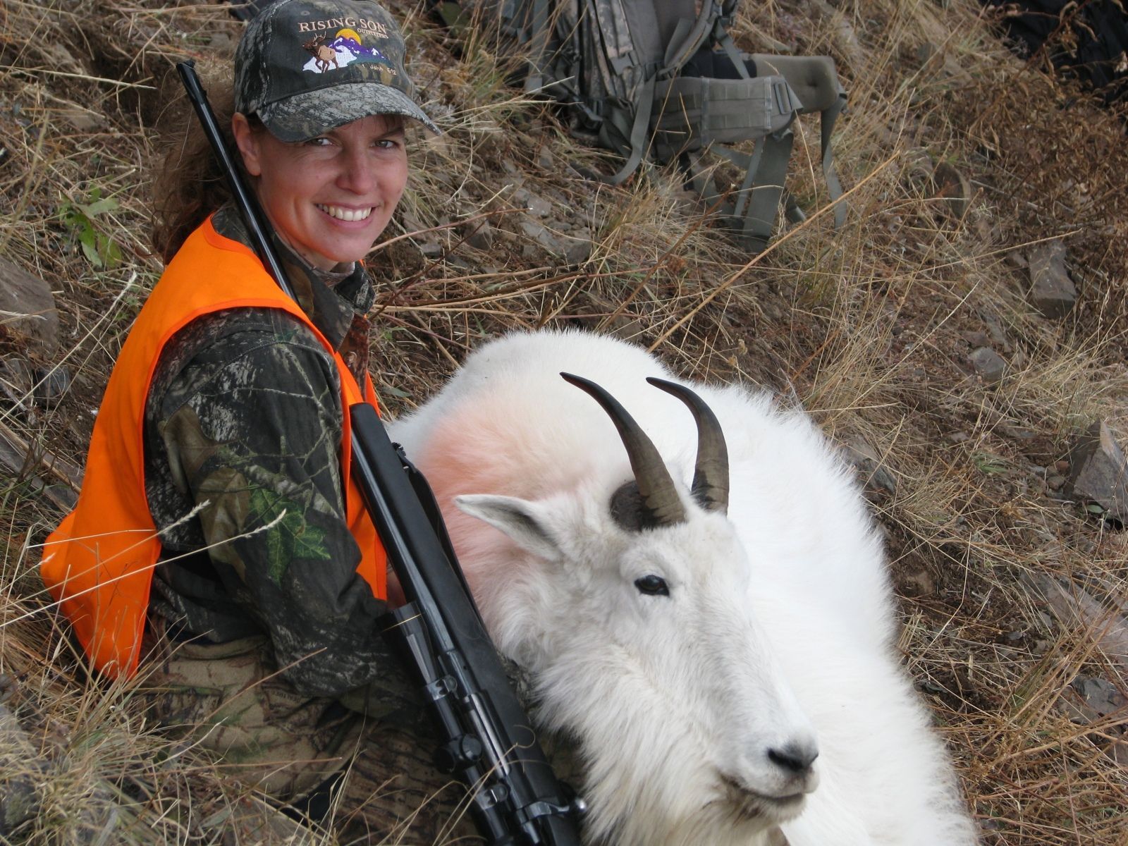 What a beautiful goat!!!