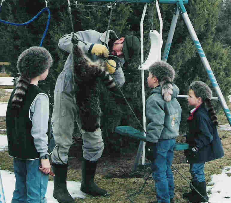 Skinning Lessons