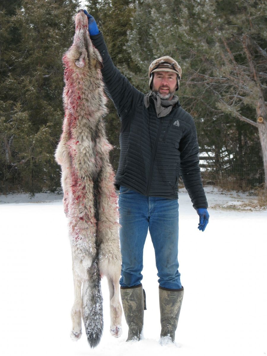 Randy's 2012 Wolf