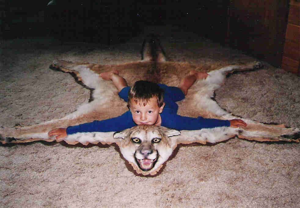 Nice Kitty!