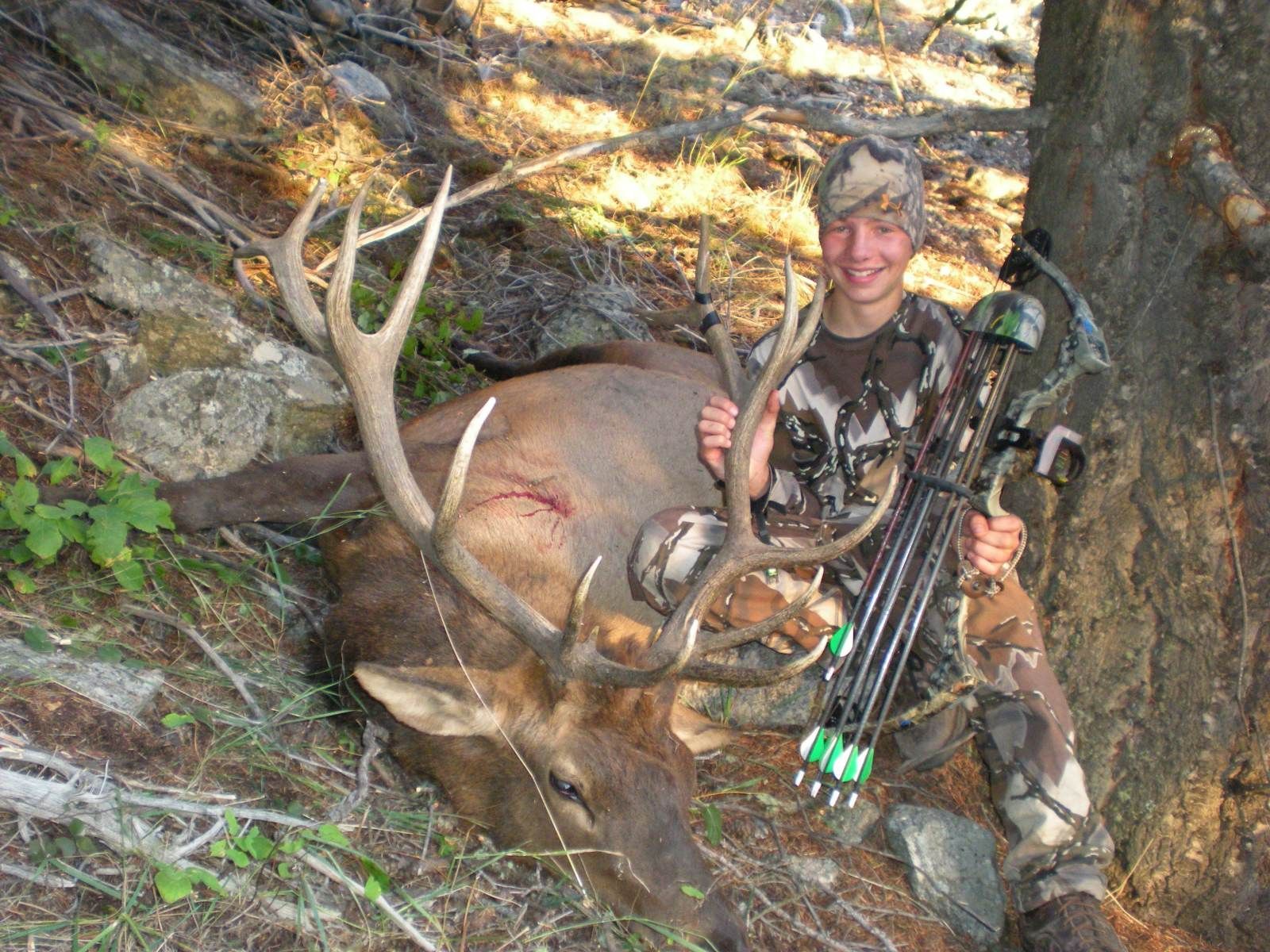 7x8 Bull