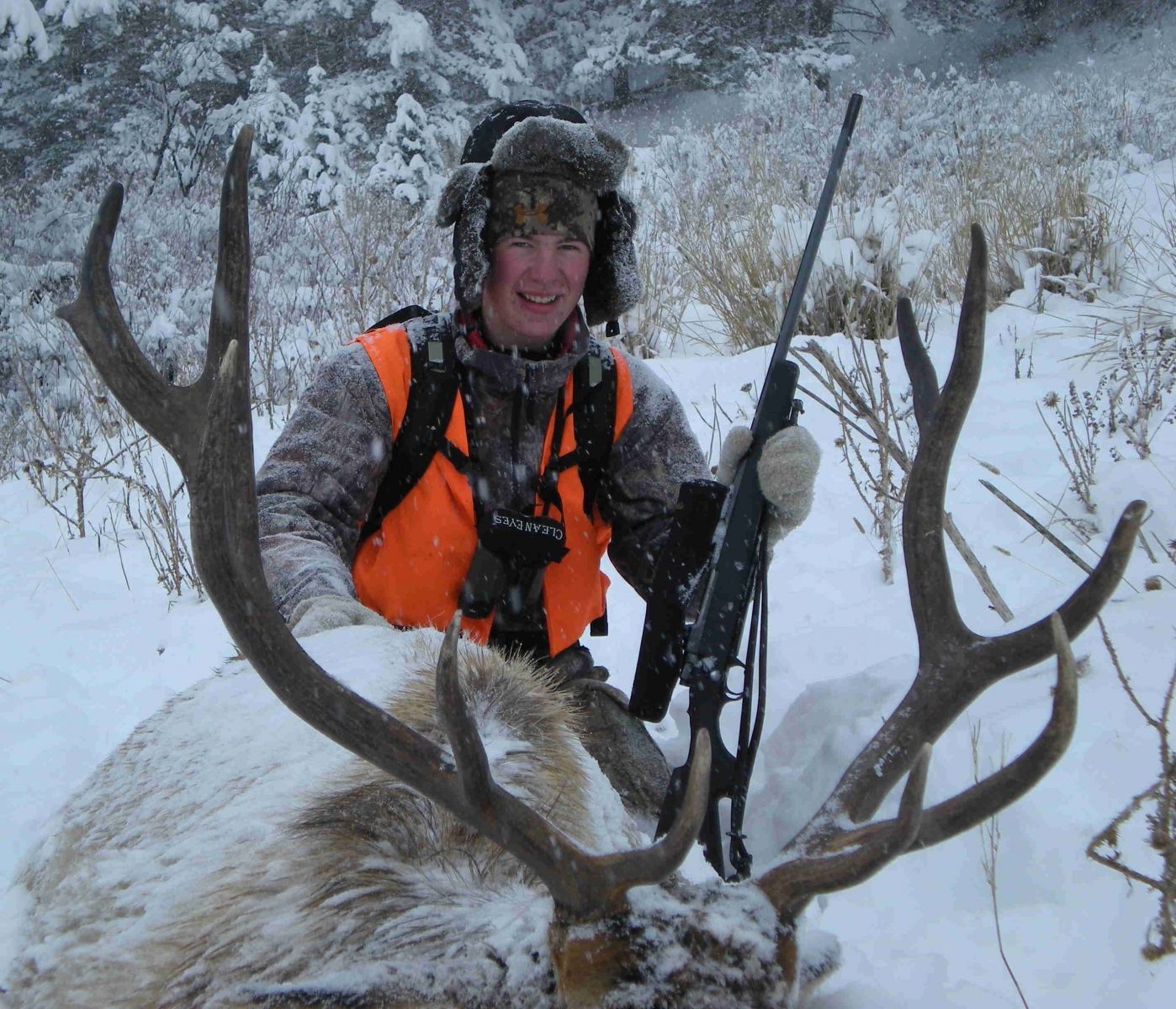 Nice 5x6 Bull!