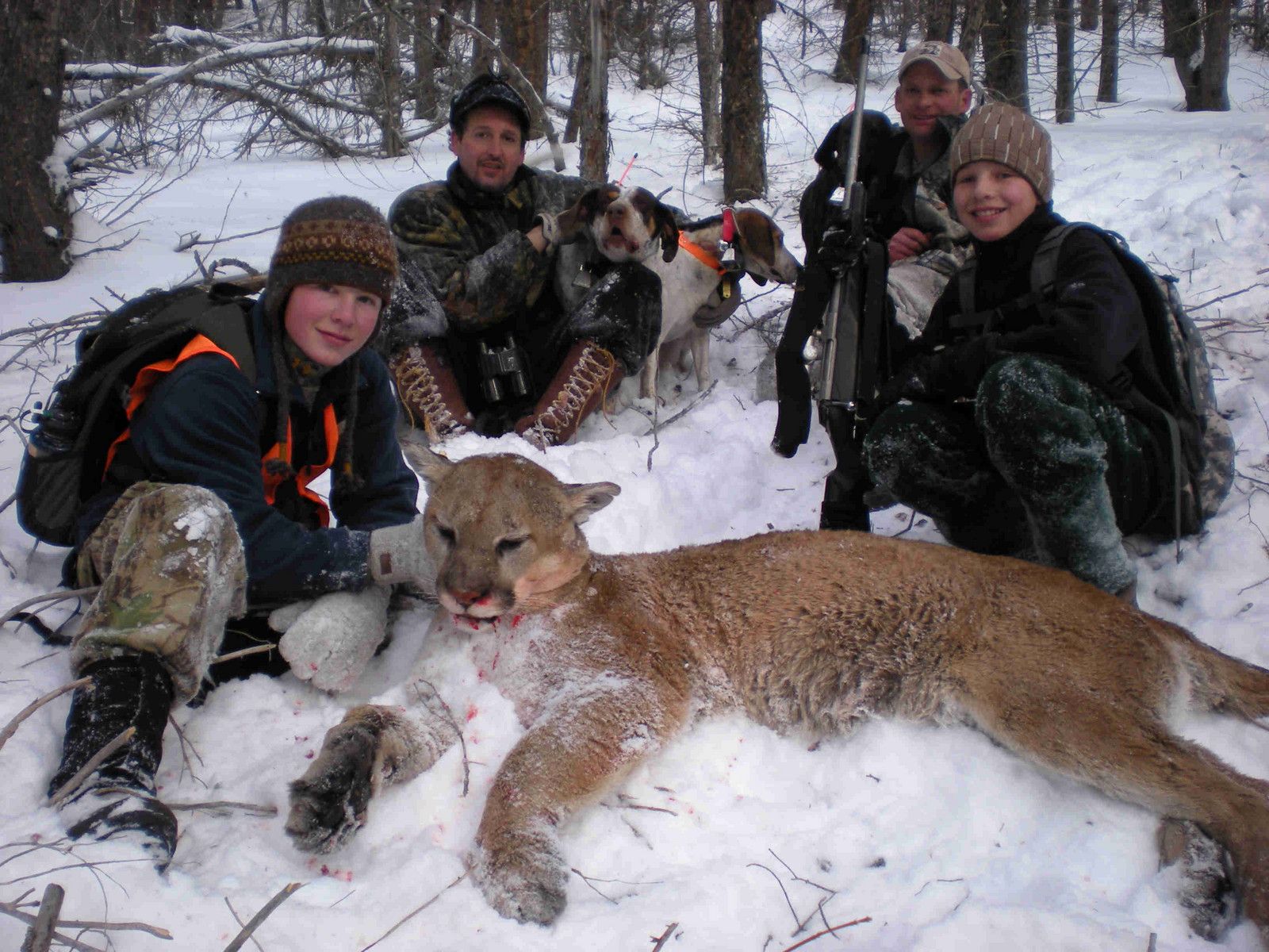 Zach's 1st Mountain Lion