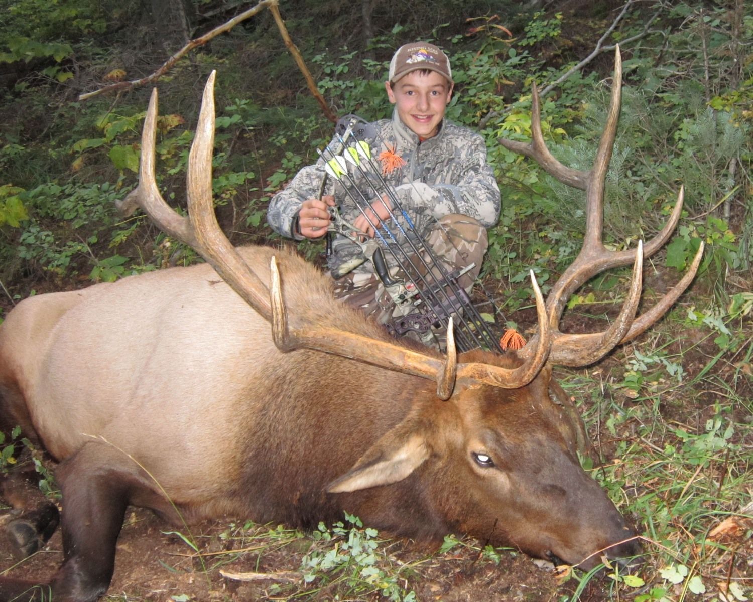 Zander's 1st Archery Elk!