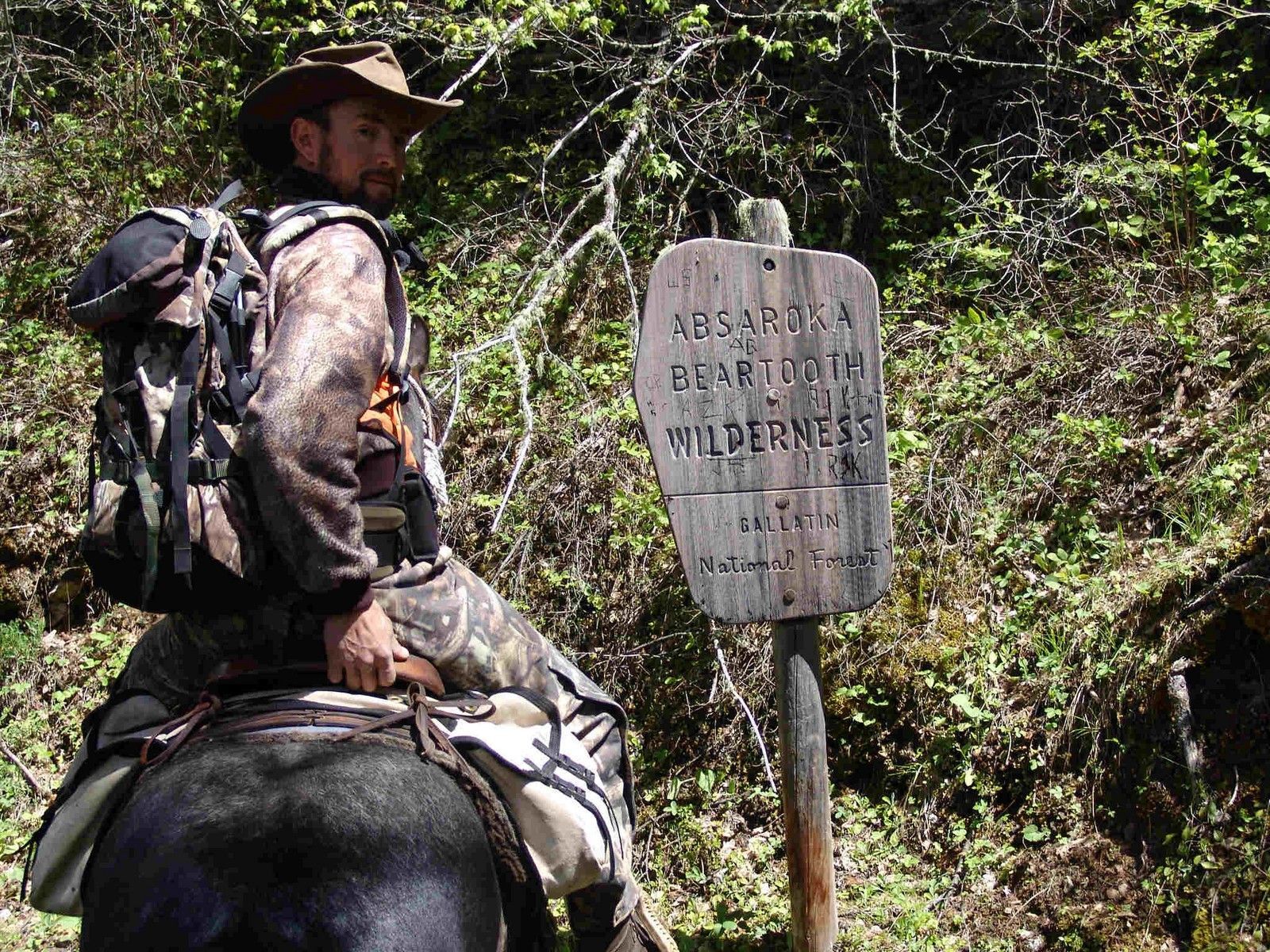 Absaroka Wilderness Photo