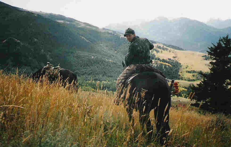 Absaroka Wilderness Photo