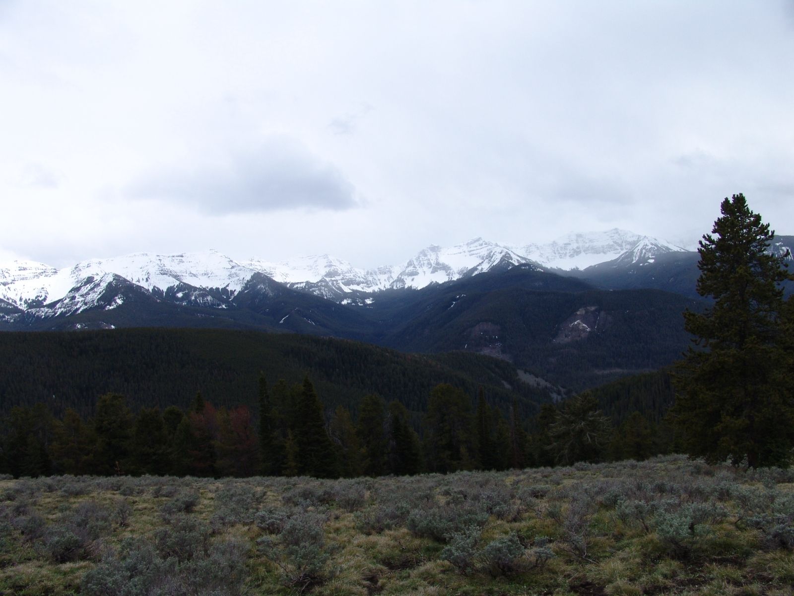 Absaroka Wilderness Photo