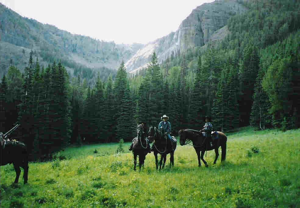 Absaroka Wilderness Photo