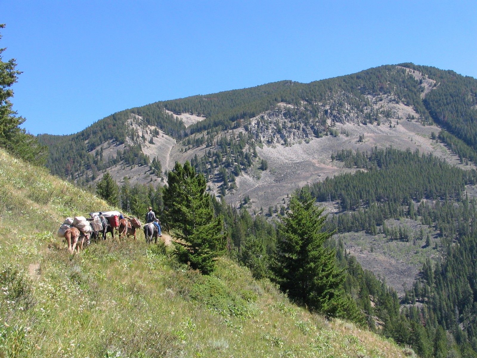 Absaroka Wilderness Photo