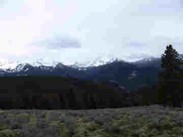 Absaroka Wilderness Photo