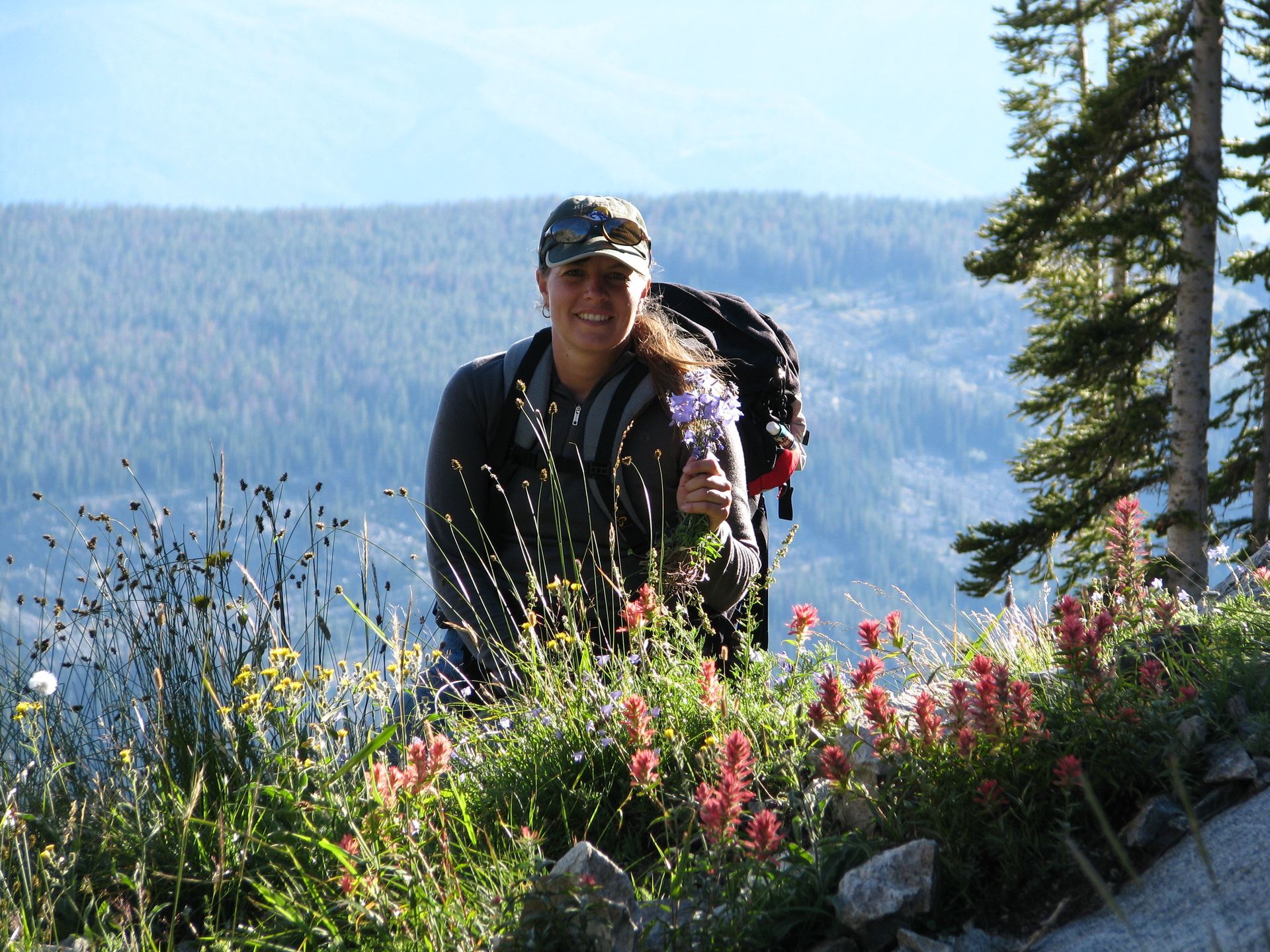 Absaroka Wilderness Photo