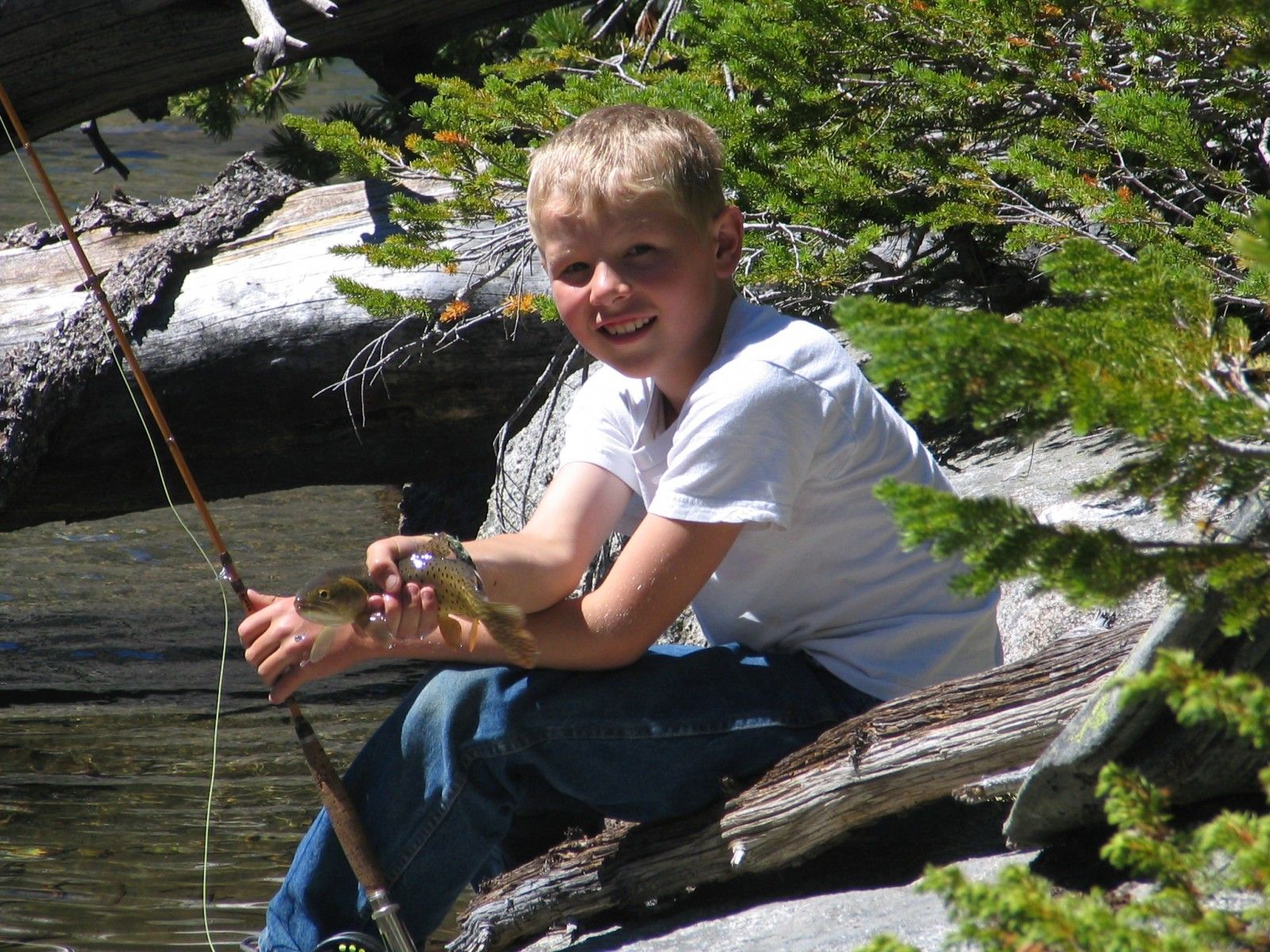 Absaroka Wilderness Photo
