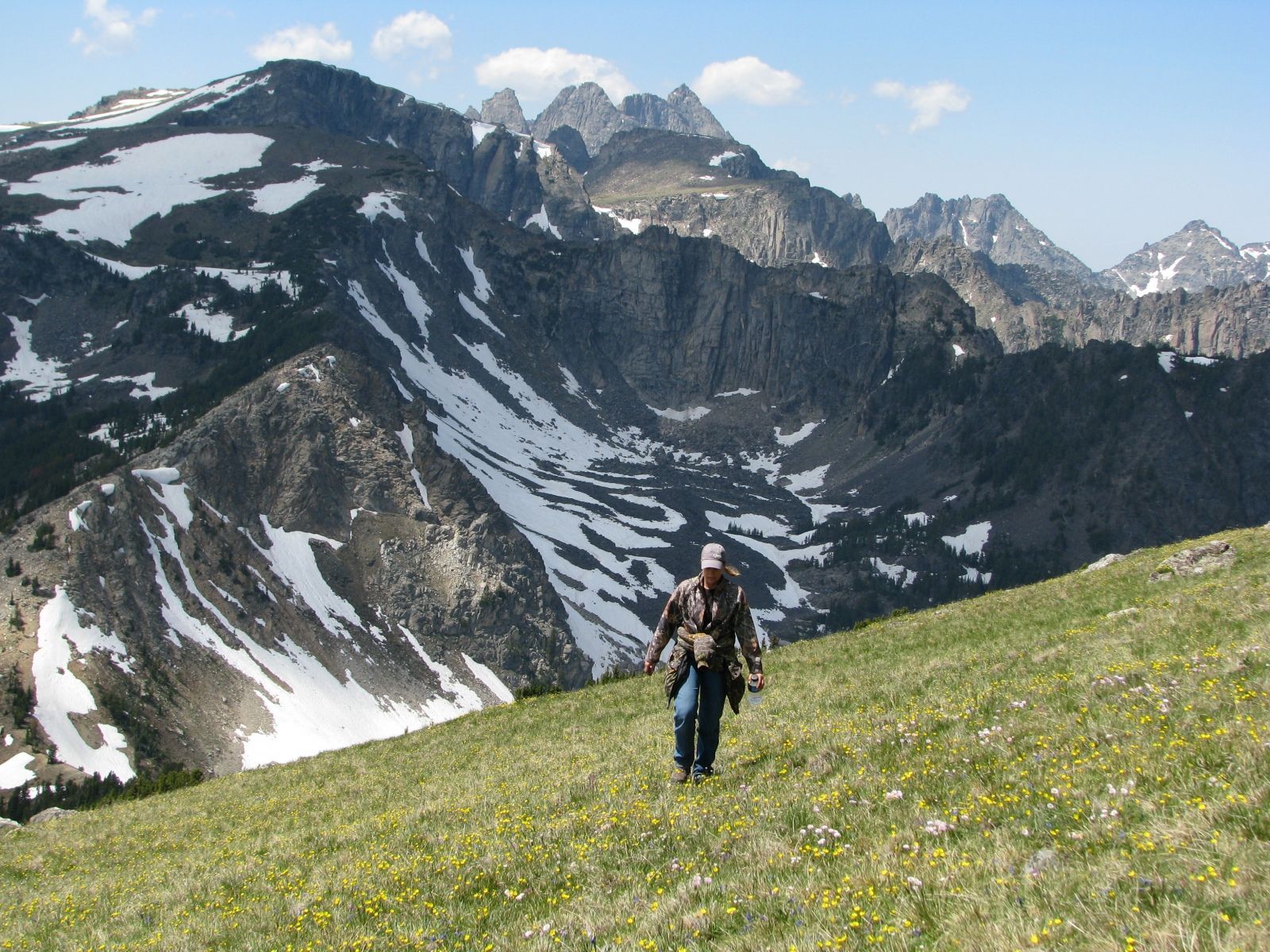 Absaroka Wilderness Photo