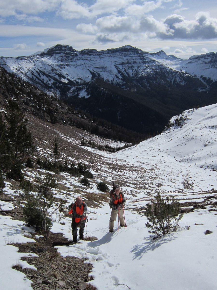 Absaroka Wilderness Photo