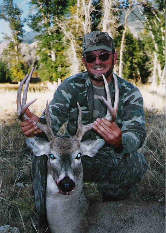 2003