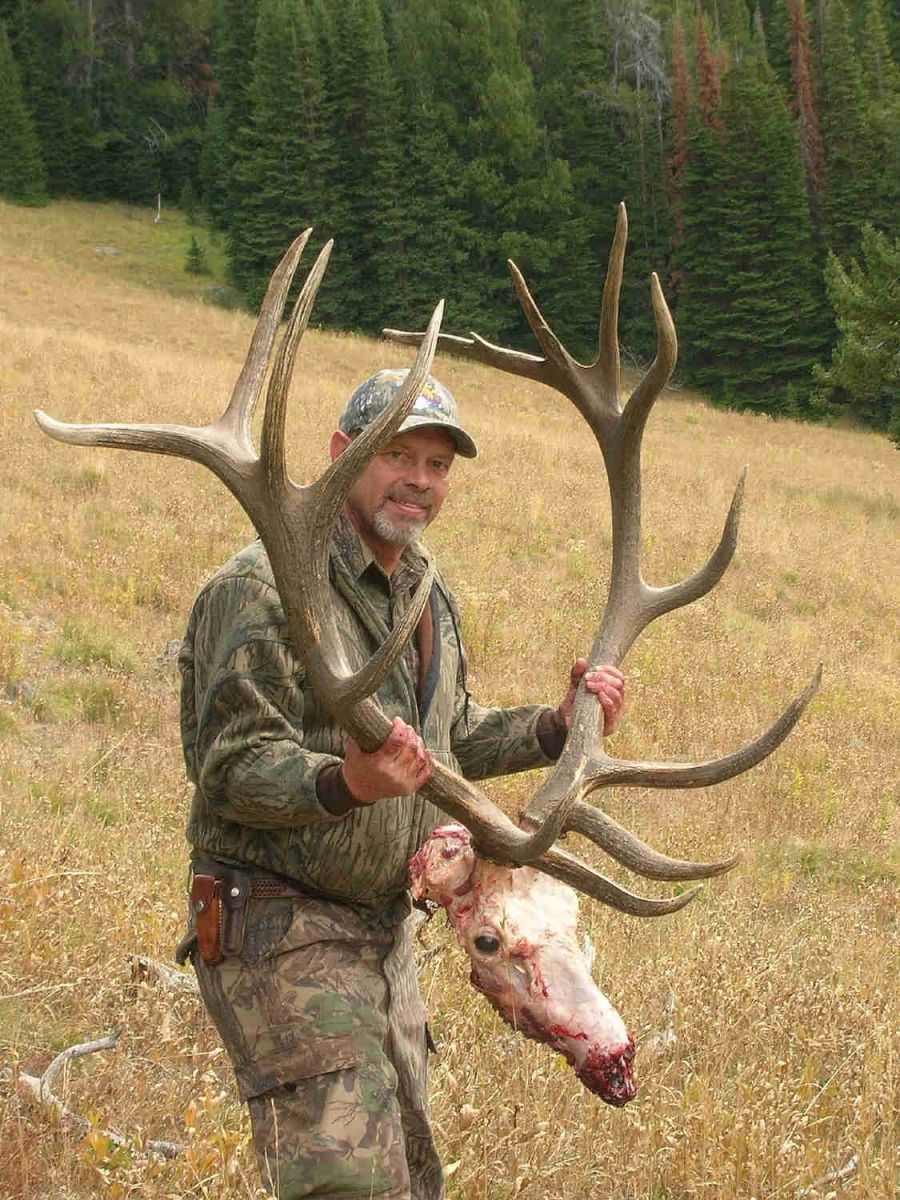 7x8 Monster Herd Bull!