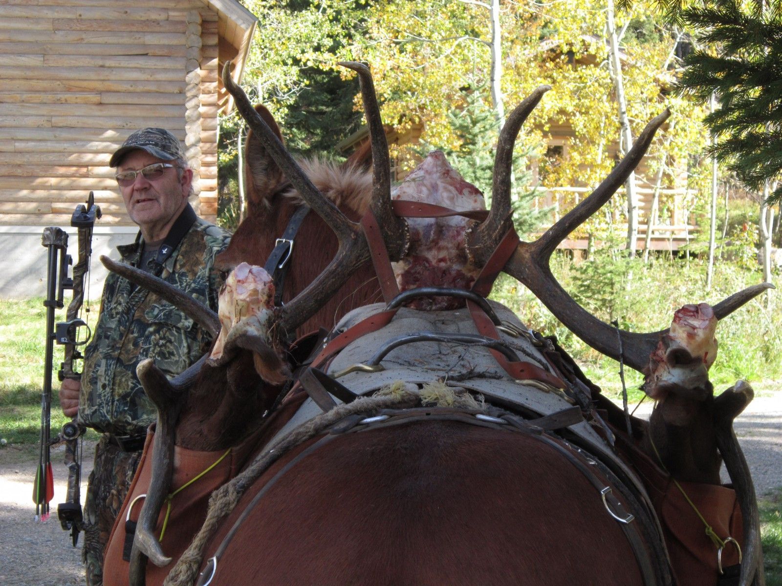 Vernon's 4th 6 point archery bull with RSO