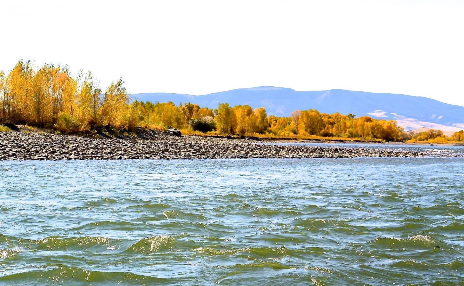 Yellowstone River Gallery Image