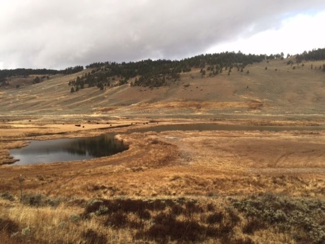 Yellowstone National Park Gallery Image