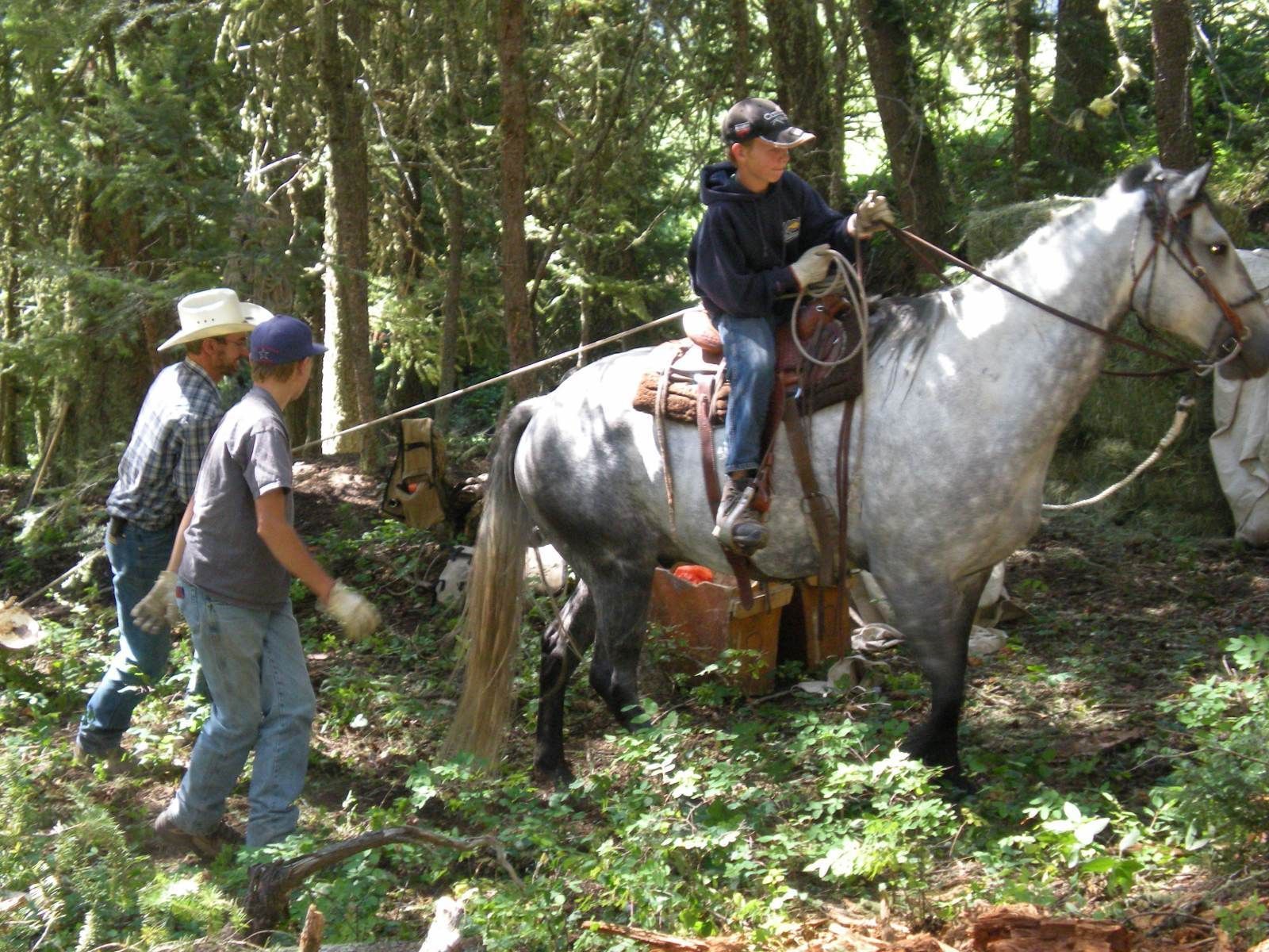 Trail work