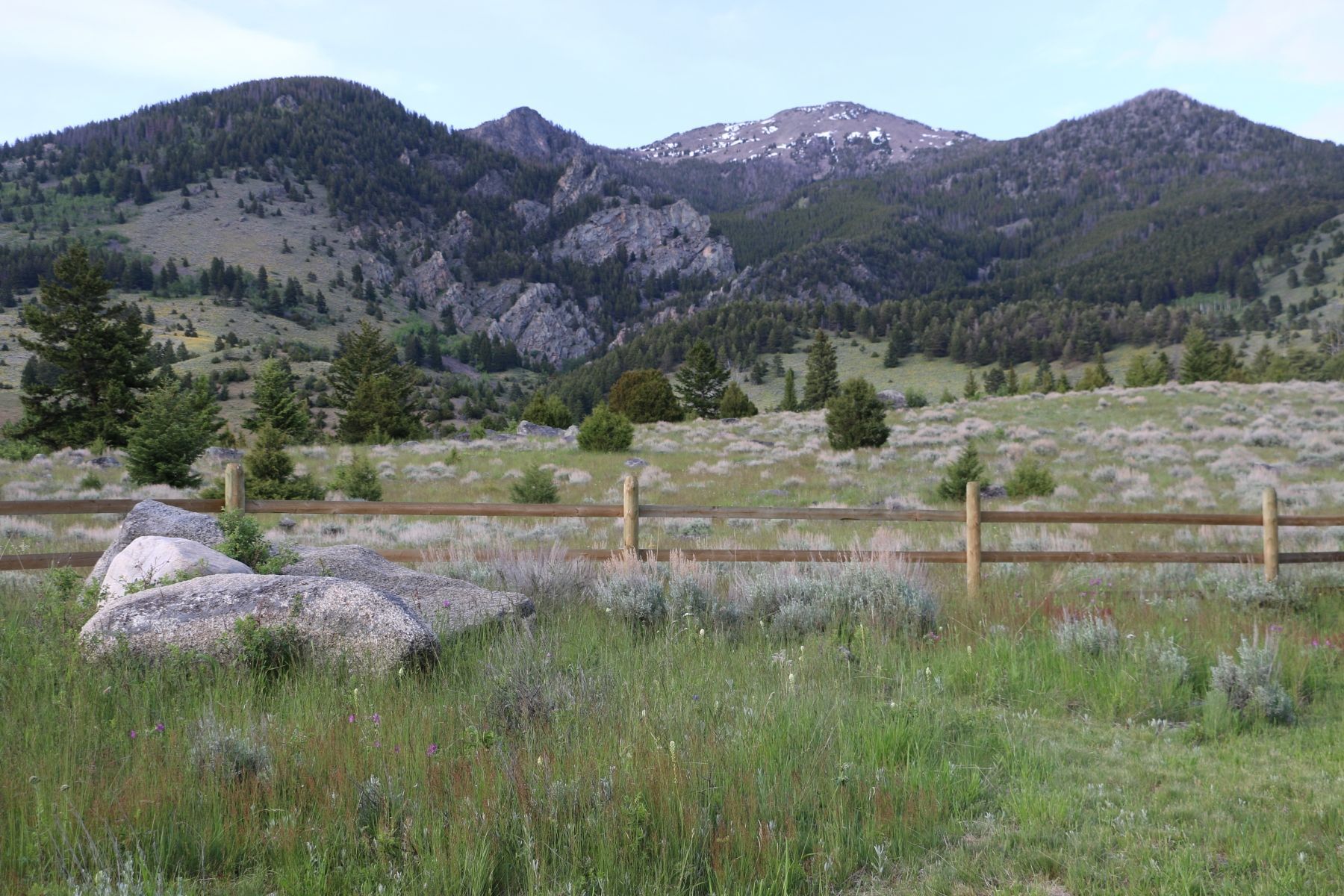 View from the cabin porch