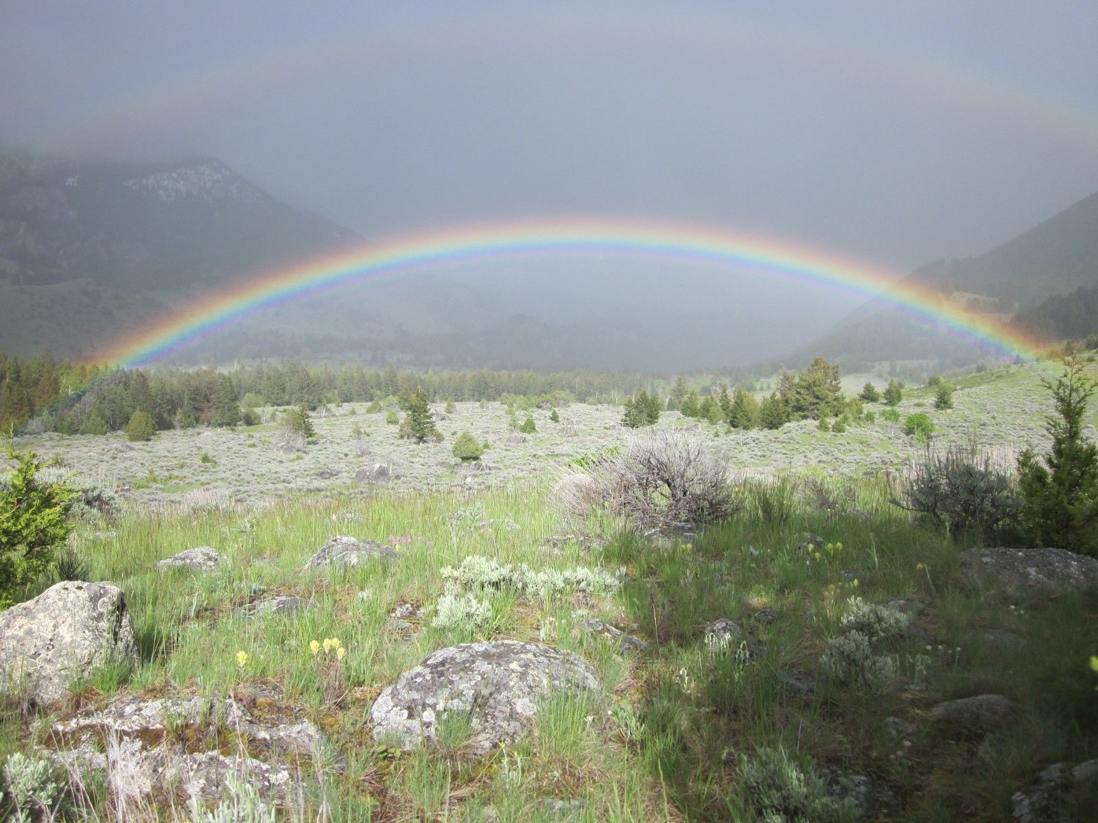 Rainbow