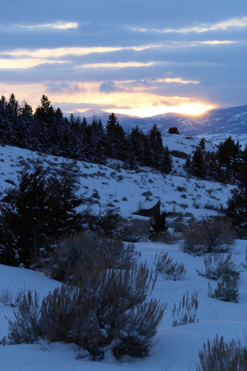 Winter sunset