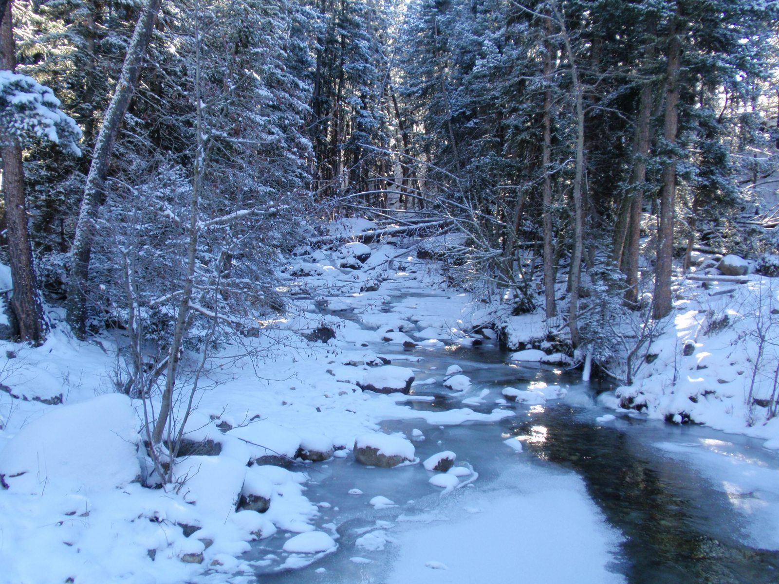 Elbow Creek