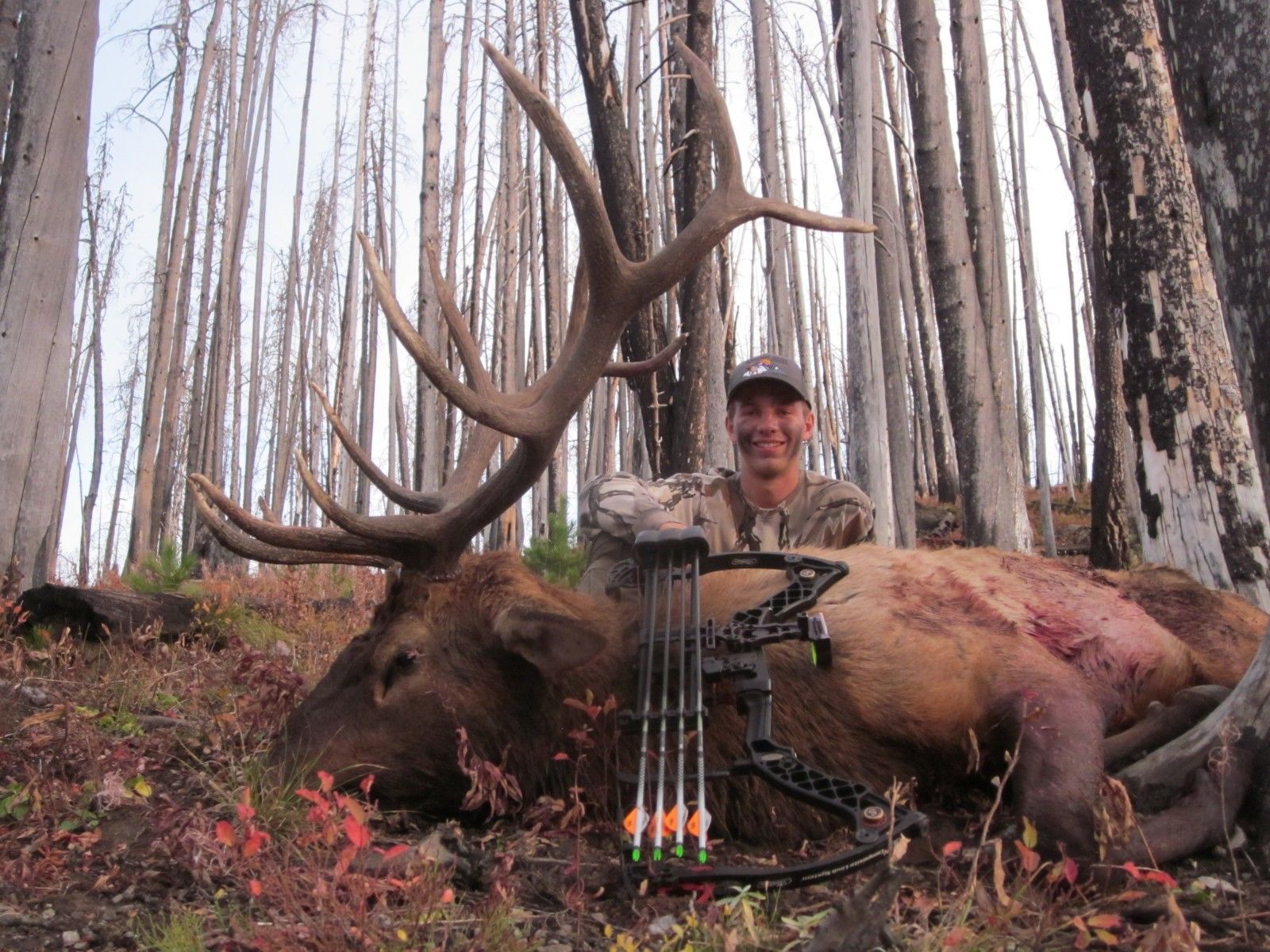 Nice Bull, Zane!