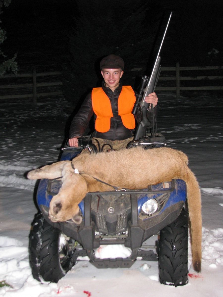 Zane's Mountain Lion