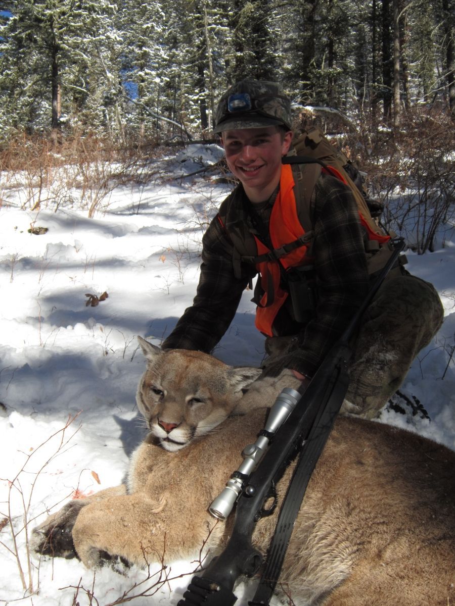 Zane's Mountain Lion