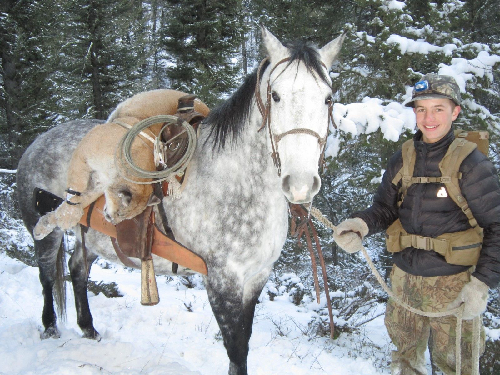Would your horse go for this?!?