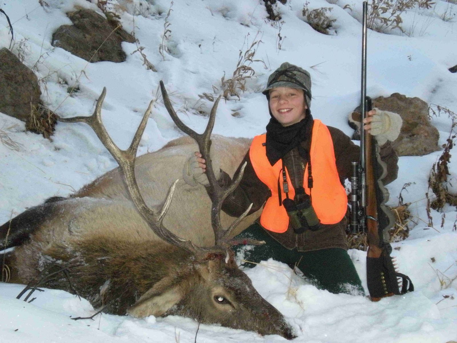 5x6 Bull