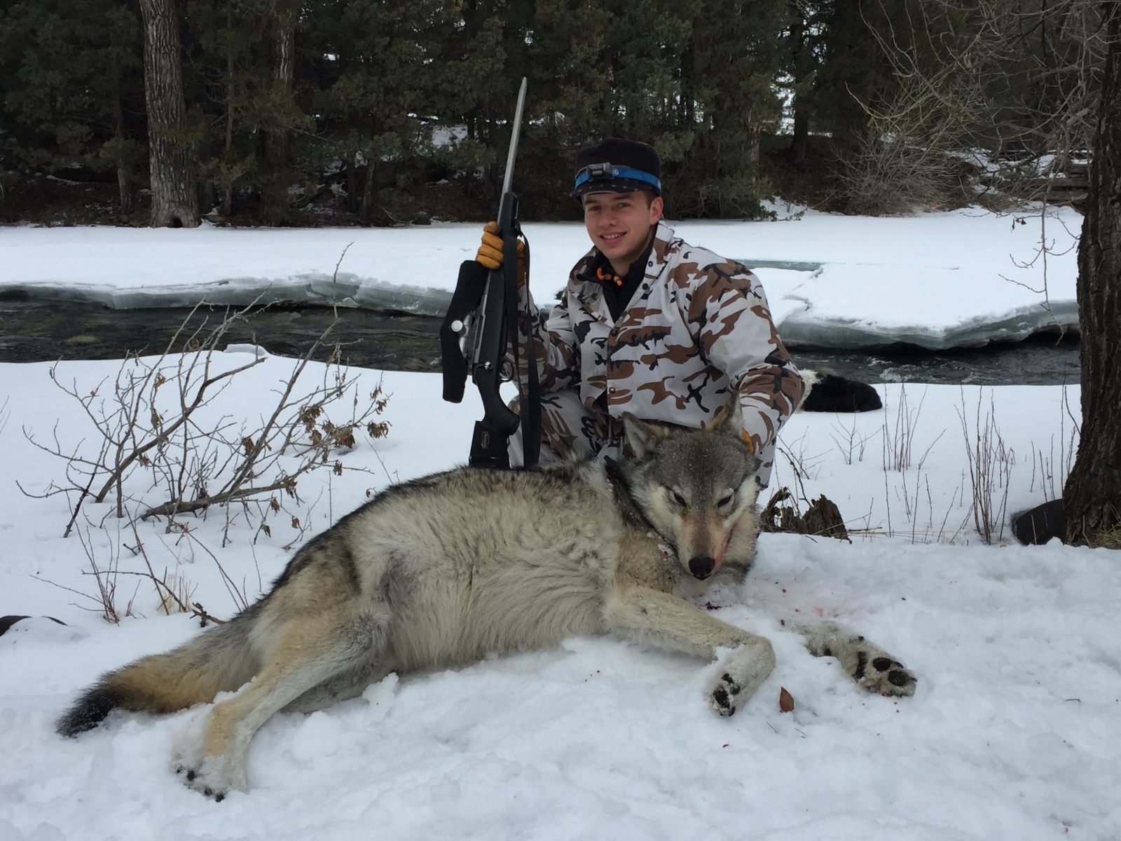 Zane's Wolf!