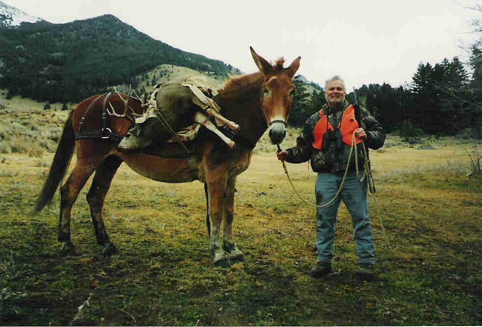 Rifle Elk/Deer Hunts Gallery Image
