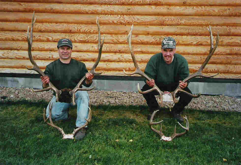Rifle Elk/Deer Hunts Gallery Image