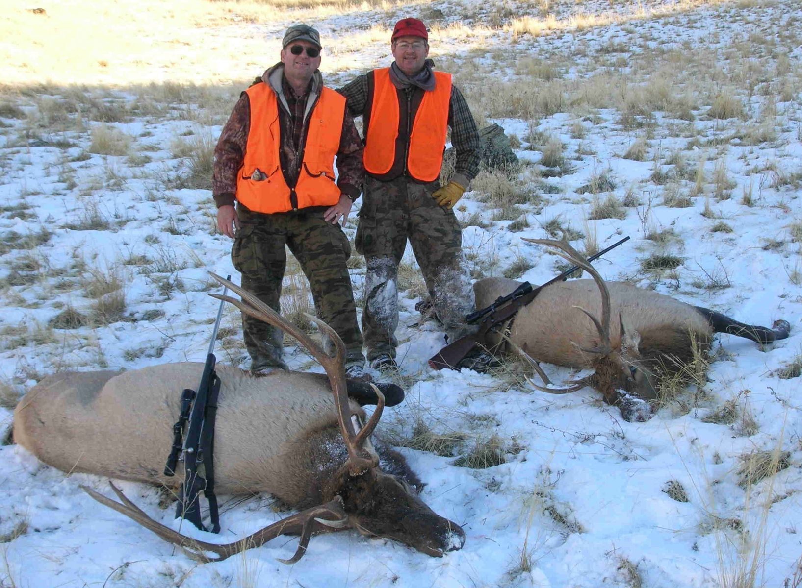 Rifle Elk/Deer Hunts Gallery Image