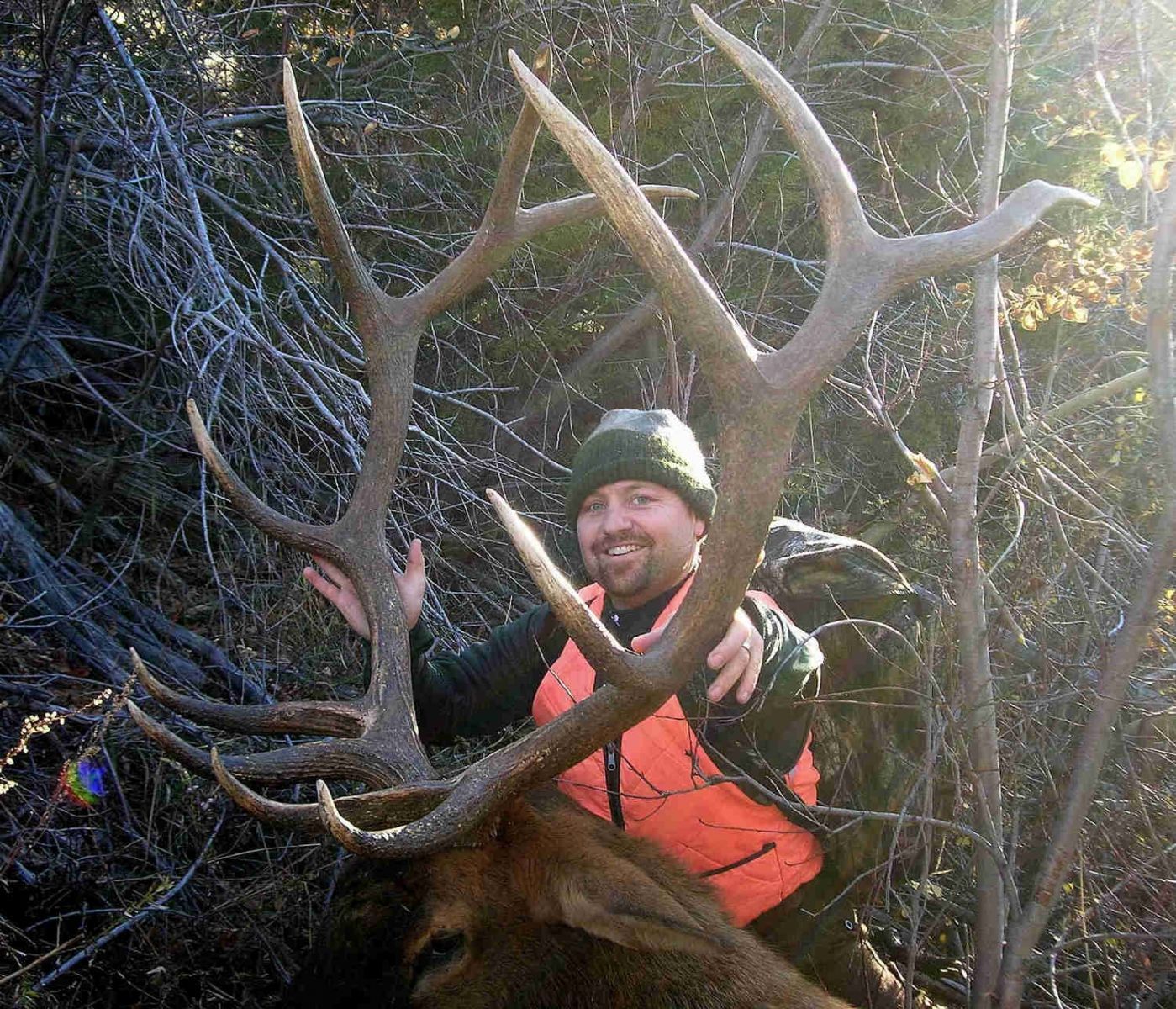 Rifle Elk/Deer Hunts Gallery Image