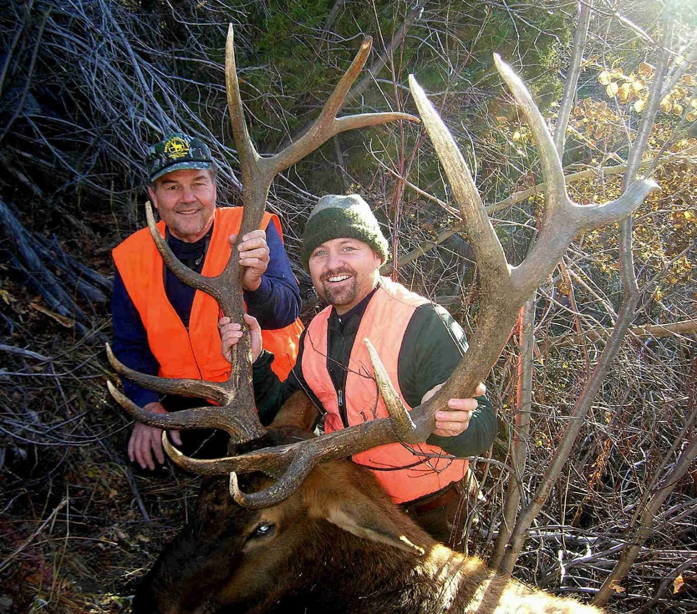 Rifle Elk/Deer Hunts Gallery Image